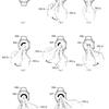 WhatsApp image 28 Janvier 2025, 9:29:48 AM, 1