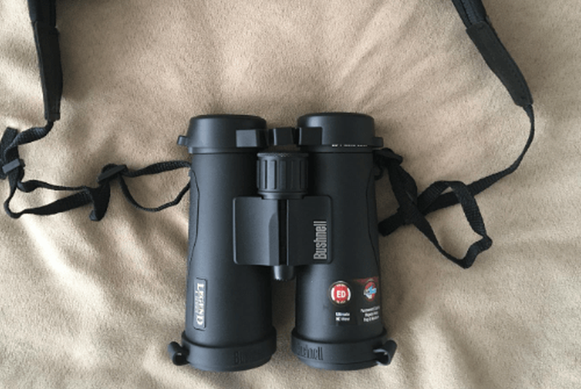 Jumelles de voyage Bushnell Legend Ultra HD E-Series 10x 42