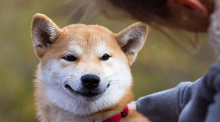 Binance offre gratuitement 45 000 Shiba Inu aux nouveaux utilisateurs