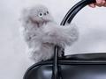 post_big/l5720250106104021.webp