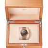 Omega Seamaster Diver 300M Mouvement Co-Axial