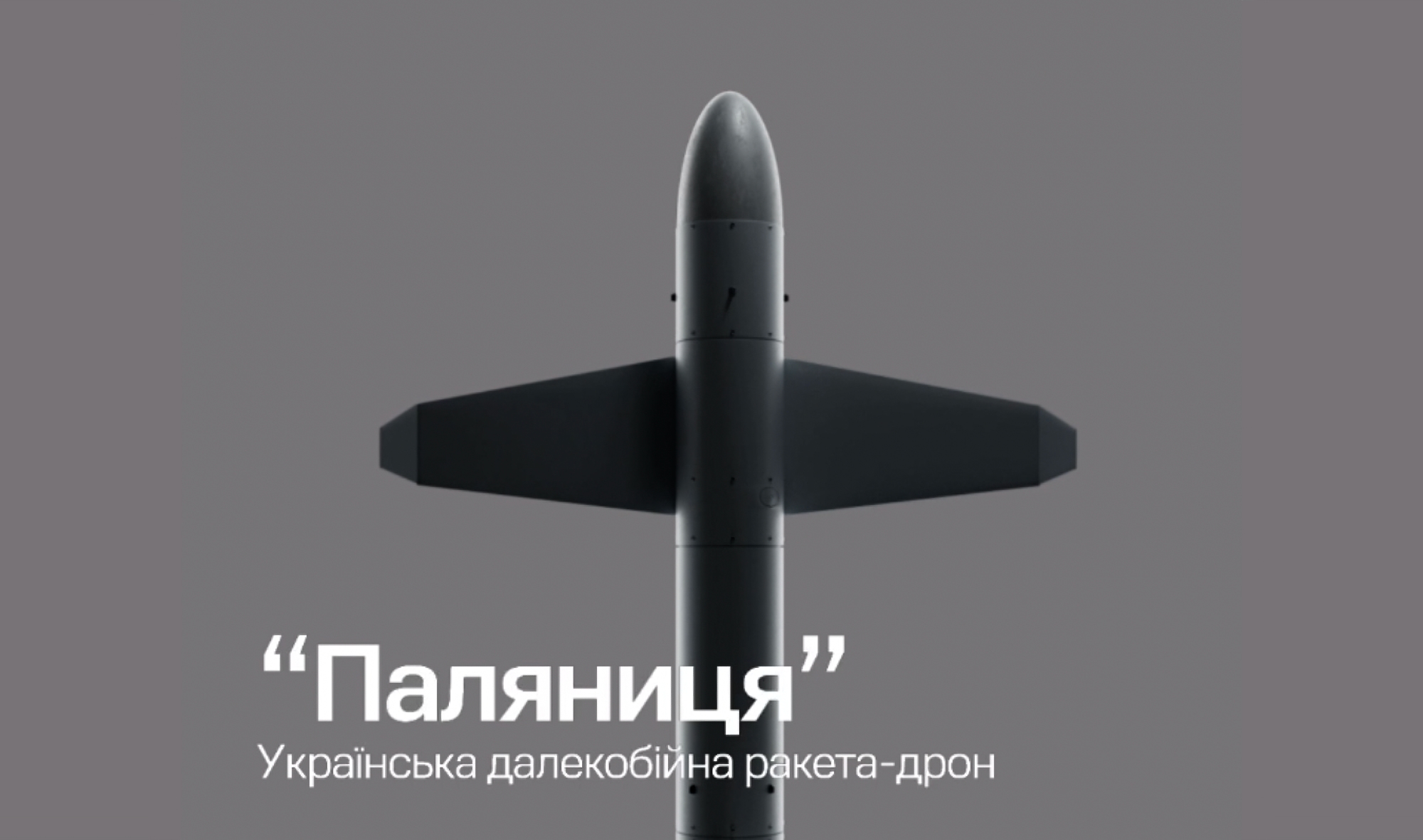 Volodymyr Zelensky a montré l'apparence du drone-missile ukrainien "Palyanitsya" et en a révélé certains détails. Volodymyr Zelensky a montré l'apparence du drone-missile ukrainien "Palyanitsya" et en a révélé certains détails.