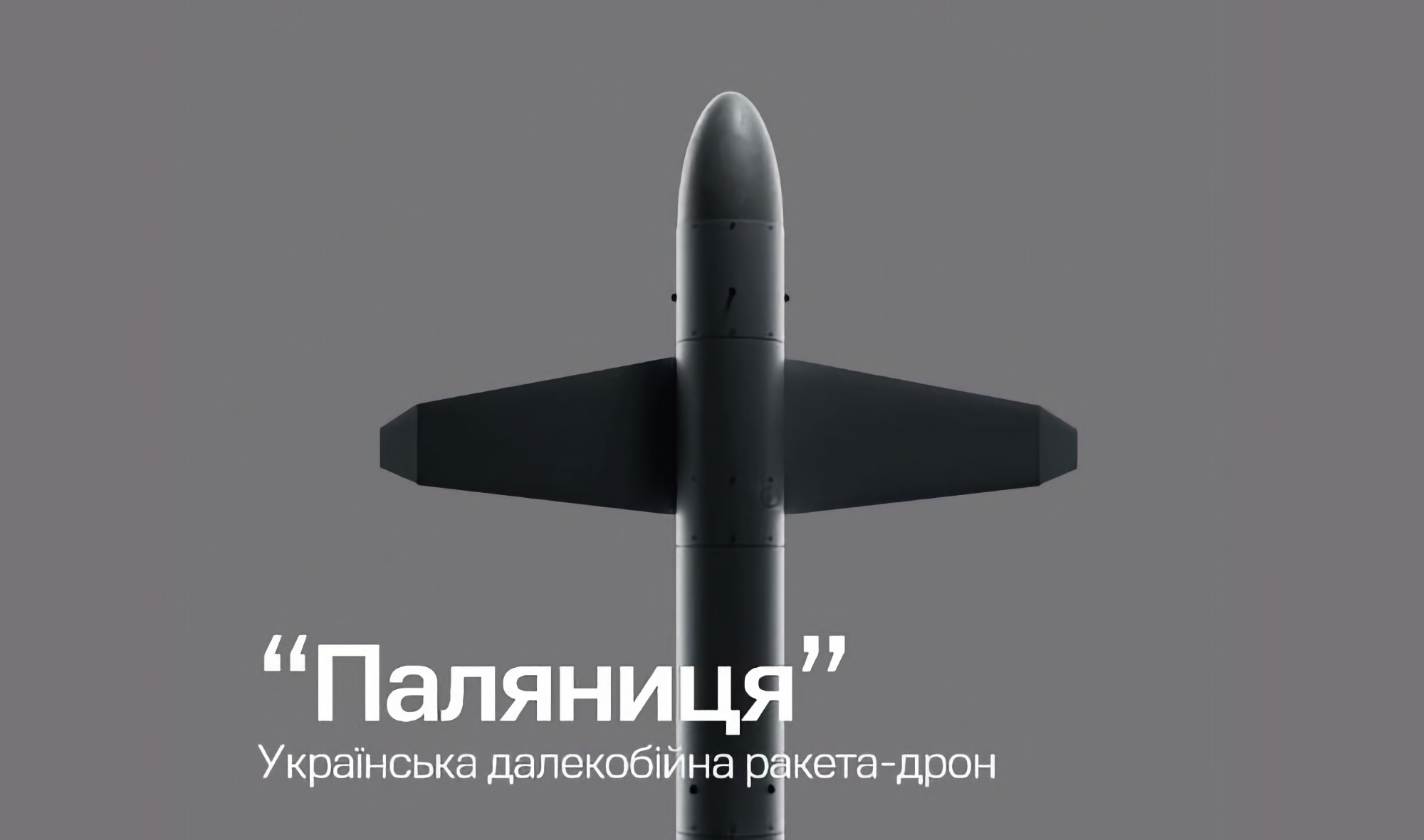 Le missile de drone ukrainien "Palianitsya" coûte moins d'un million de dollars Le missile de drone ukrainien "Palianitsya" coûte moins d'un million de dollars