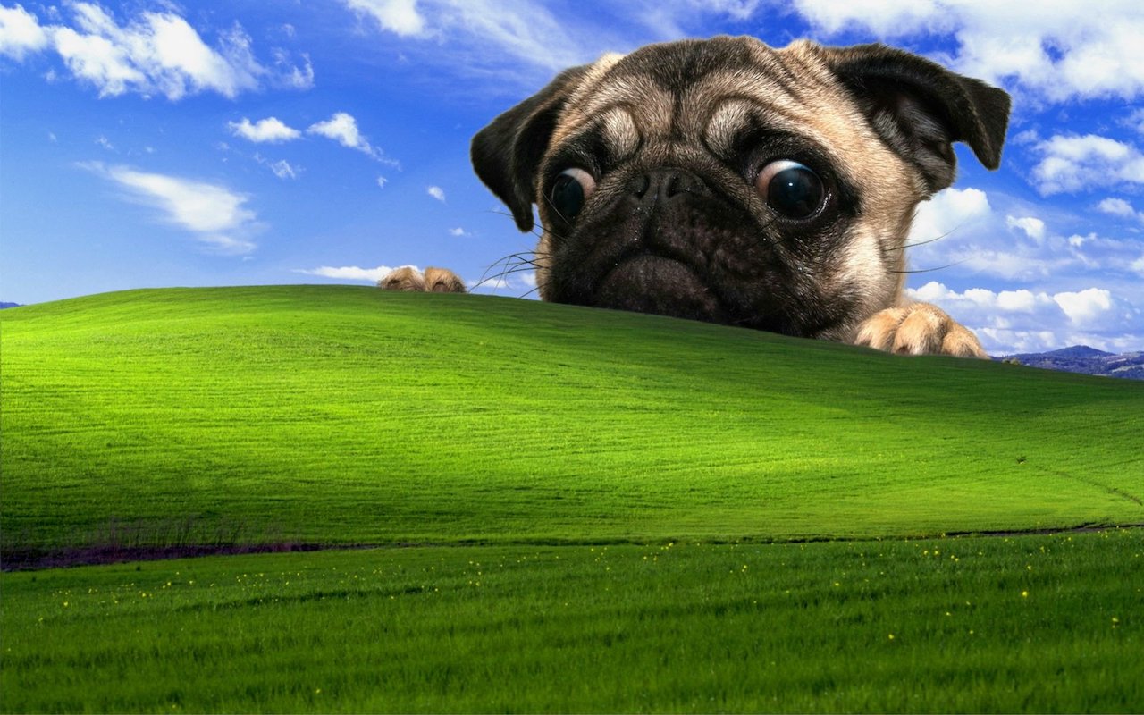 Windows XP reste le plus populaire dans un pays Windows XP reste le plus populaire dans un pays