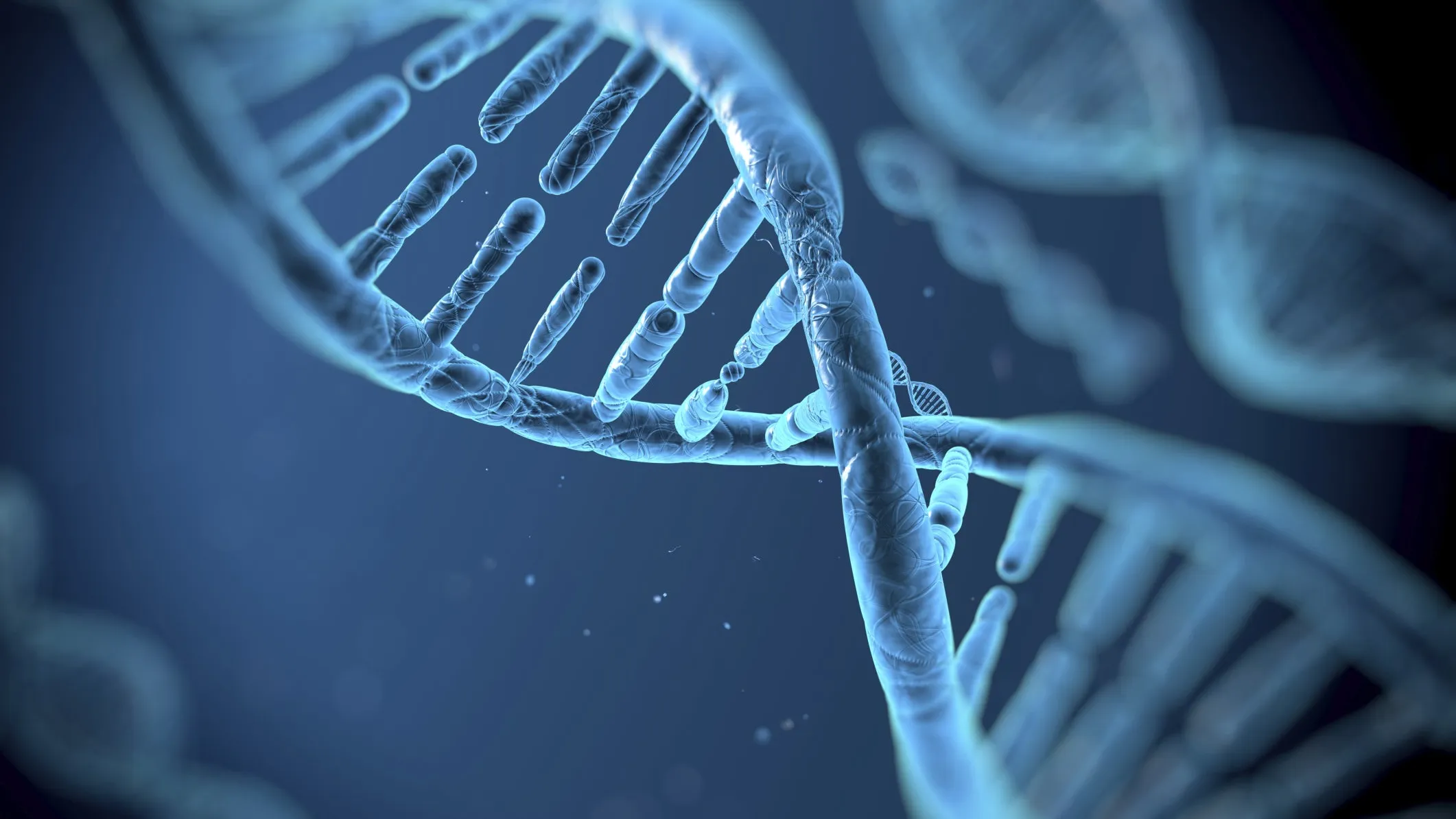 Biometry a annoncé une carte mémoire de 1KB à 1000 $ qui stocke des données dans l'ADN pendant 150 ans. Biometry a annoncé une carte mémoire de 1KB à 1000 $ qui stocke des données dans l'ADN pendant 150 ans.