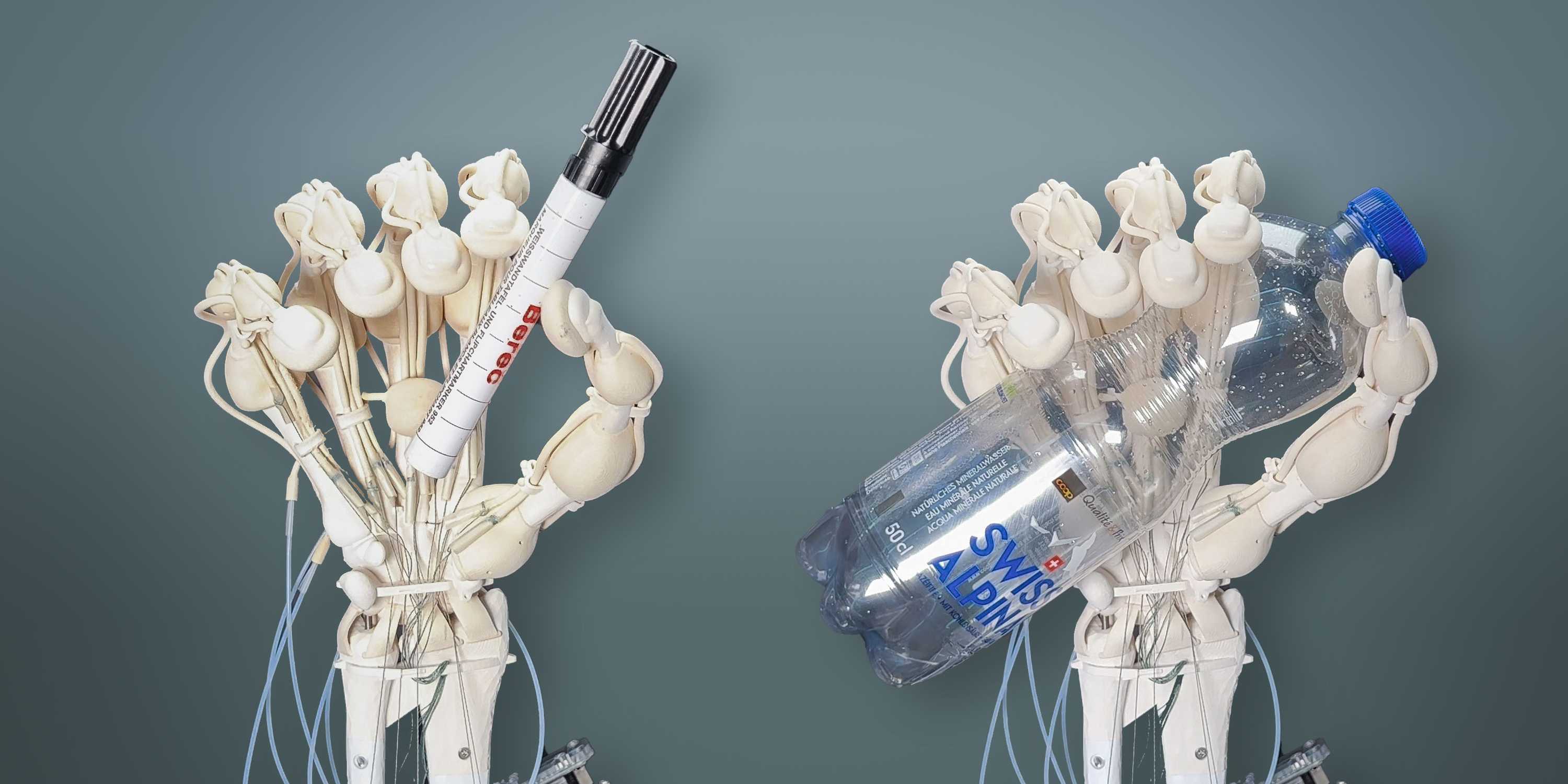 Des chercheurs de l'ETH Zurich ont réussi à imprimer pour la première fois un bras robotisé avec des os, des ligaments et des tendons. Des chercheurs de l'ETH Zurich ont réussi à imprimer pour la première fois un bras robotisé avec des os, des ligaments et des tendons.