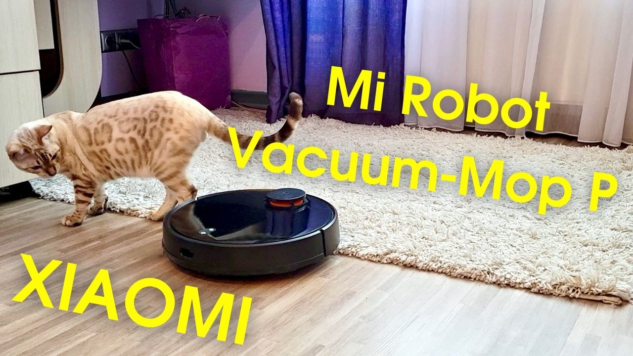 Revue vidéo du robot aspirateur Xiaomi Mi Robot Vacuum-Mop P : puissant et avancé Revue vidéo du robot aspirateur Xiaomi Mi Robot Vacuum-Mop P : puissant et avancé
