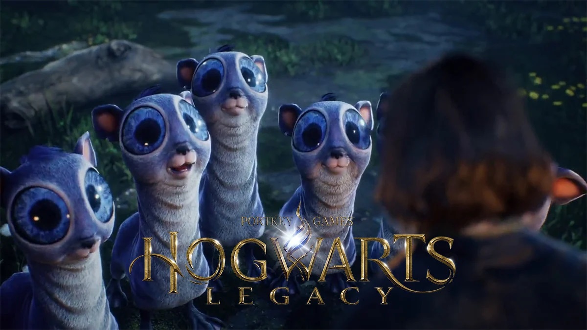 Promenez une créature magique dans de nouvelles images du RPG Hogwarts Legacy. Promenez une créature magique dans de nouvelles images du RPG Hogwarts Legacy.