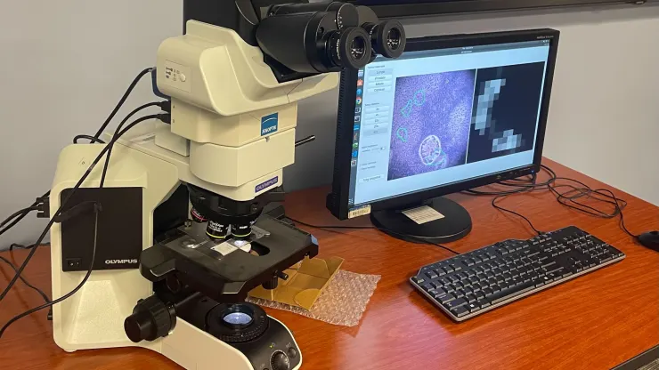 Google et le Pentagone ont mis au point un microscope basé sur l'intelligence artificielle pour le diagnostic du cancer-2 Google et le Pentagone ont mis au point un microscope basé sur l'intelligence artificielle pour le diagnostic du cancer-2