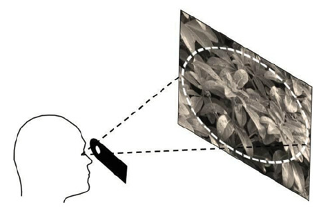 what is binocular pupil distance what is binocular pupil distance