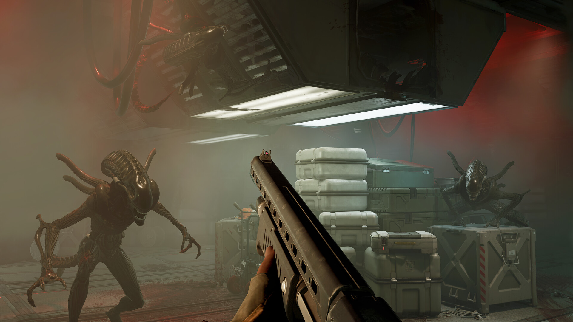 Scène de combat dans Alien : Rogue Incursion Scène de combat dans Alien : Rogue Incursion