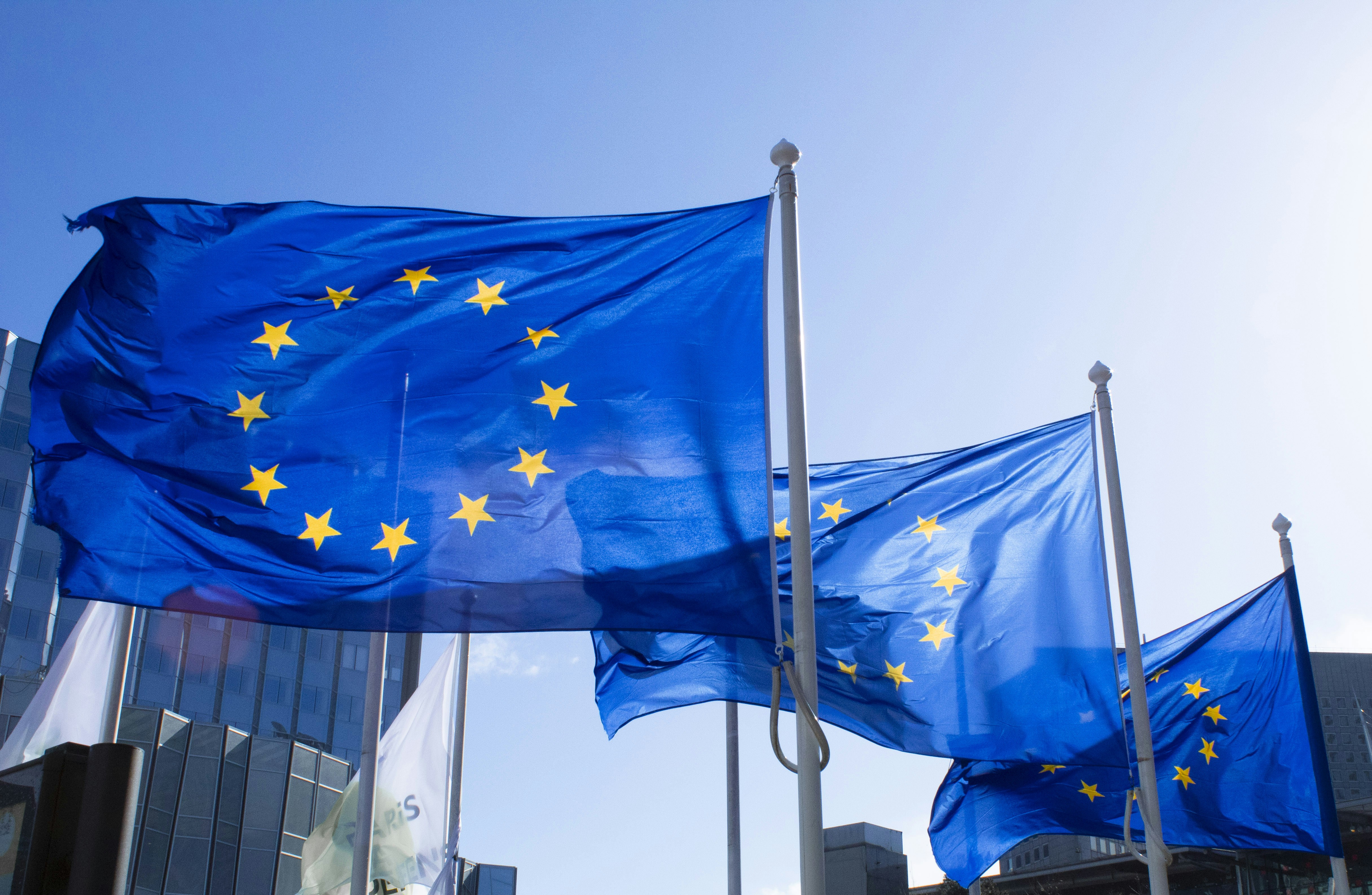 Les géants de la technologie doivent étiqueter les contenus générés par l'IA à l'approche des élections européennes Les géants de la technologie doivent étiqueter les contenus générés par l'IA à l'approche des élections européennes