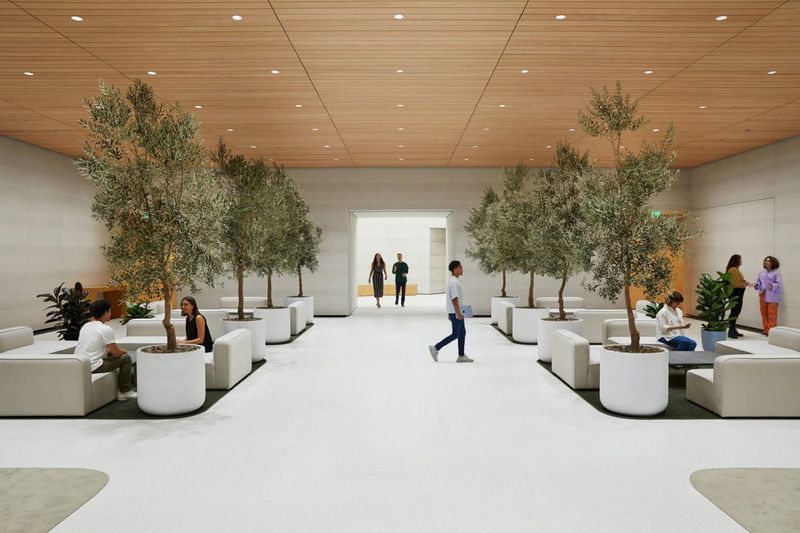 Intérieur de l'Apple Park Intérieur de l'Apple Park