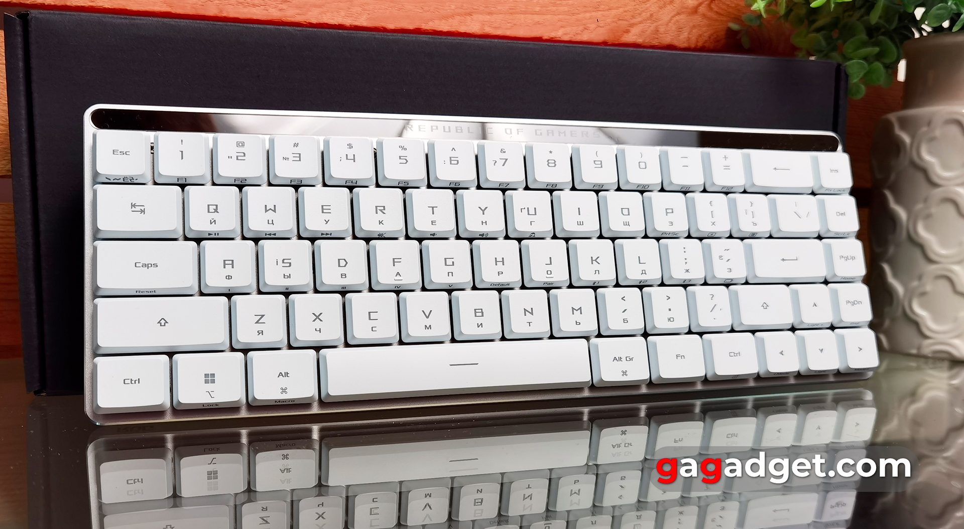 Огляд ASUS ROG Falchion RX Low Profile Огляд ASUS ROG Falchion RX Low Profile