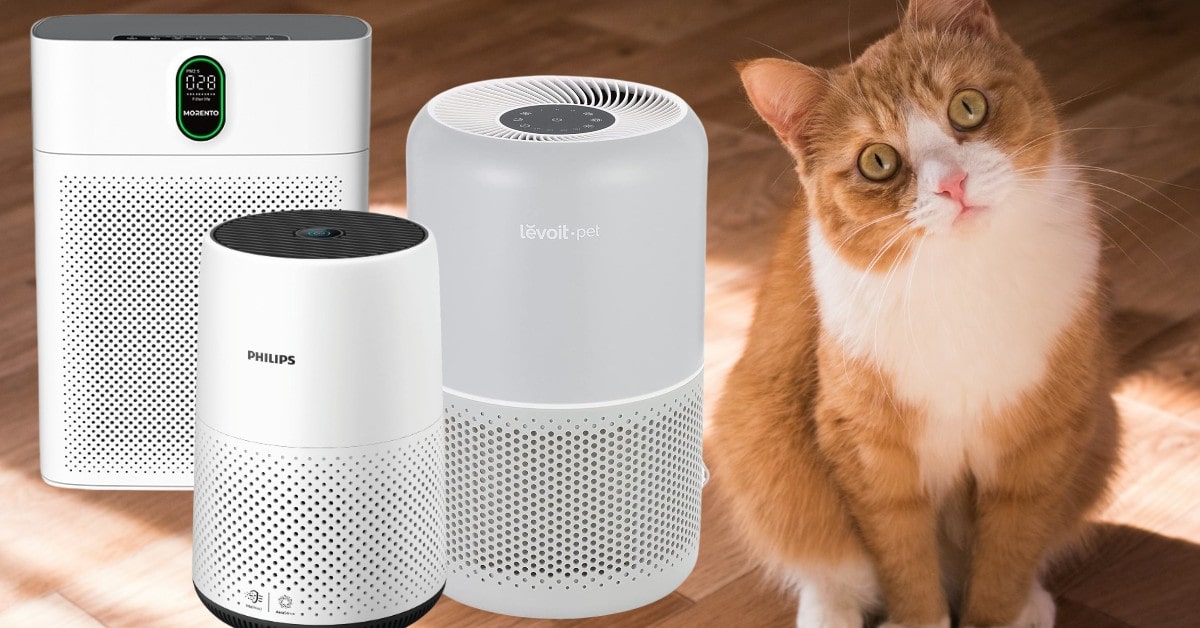 meilleurs purificateurs d'air pour propriétaires de chats meilleurs purificateurs d'air pour propriétaires de chats