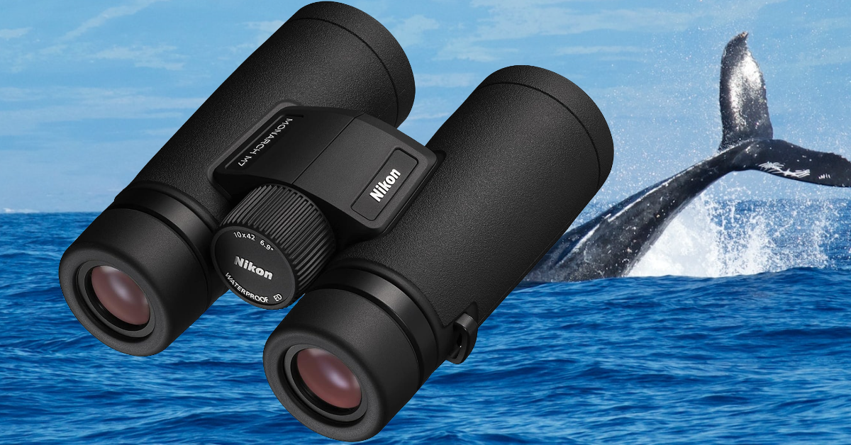 meilleures jumelles pour l'observation des baleines 2025
