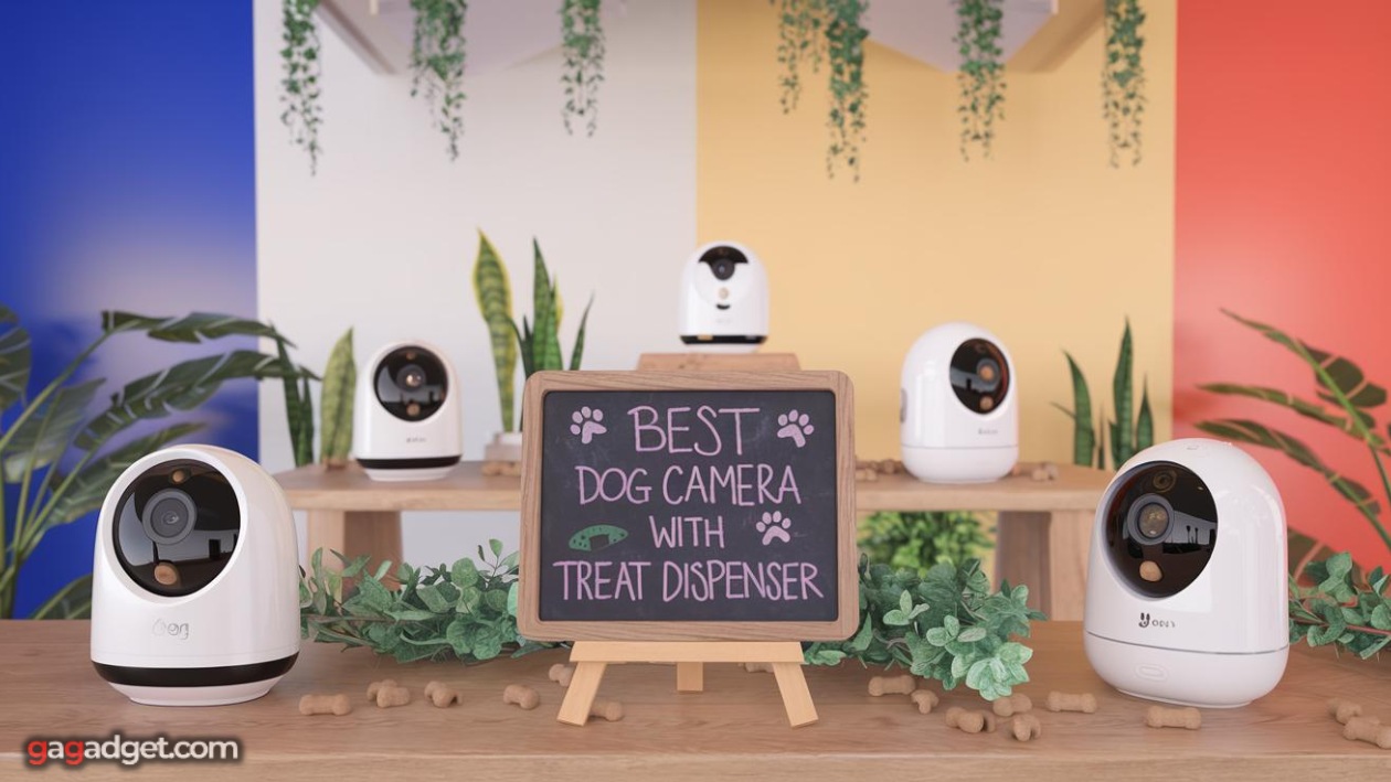 Meilleure caméra pour chien avec distributeur de friandises Meilleure caméra pour chien avec distributeur de friandises