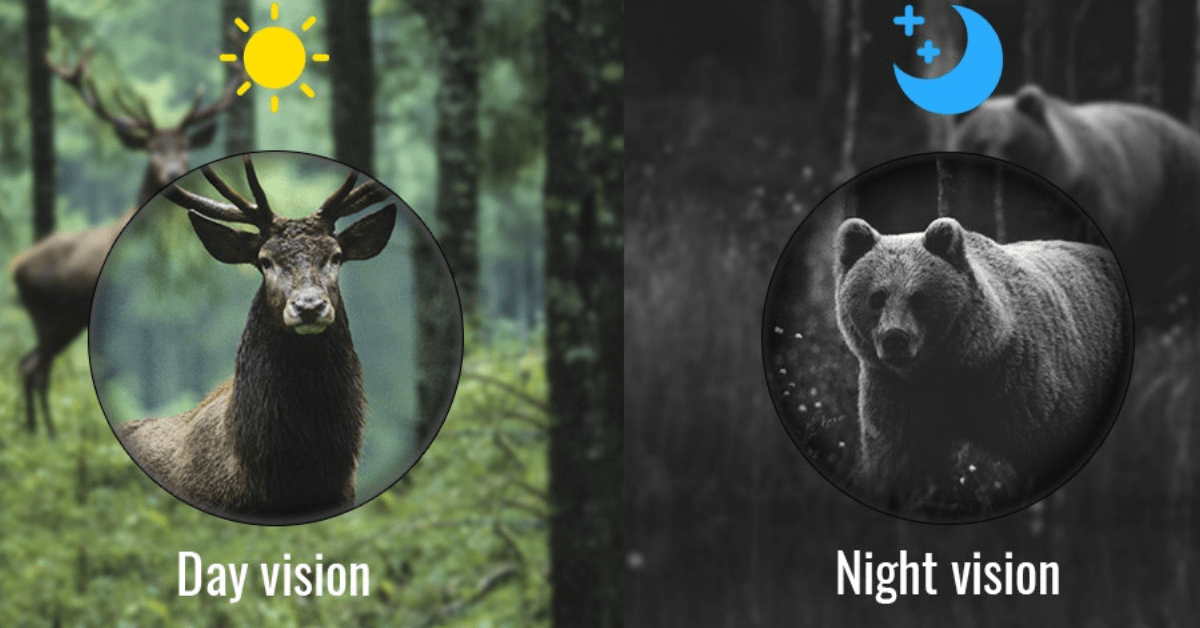 monoculaire vision nocturne monoculaire vision nocturne
