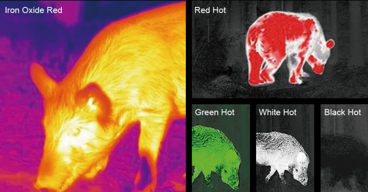 monoculaire thermique avis 2025 monoculaire thermique avis 2025