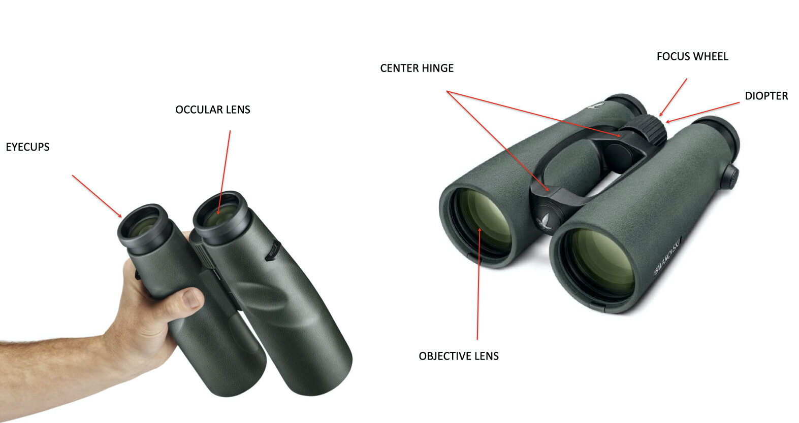 tuning binoculars for clear vision tuning binoculars for clear vision