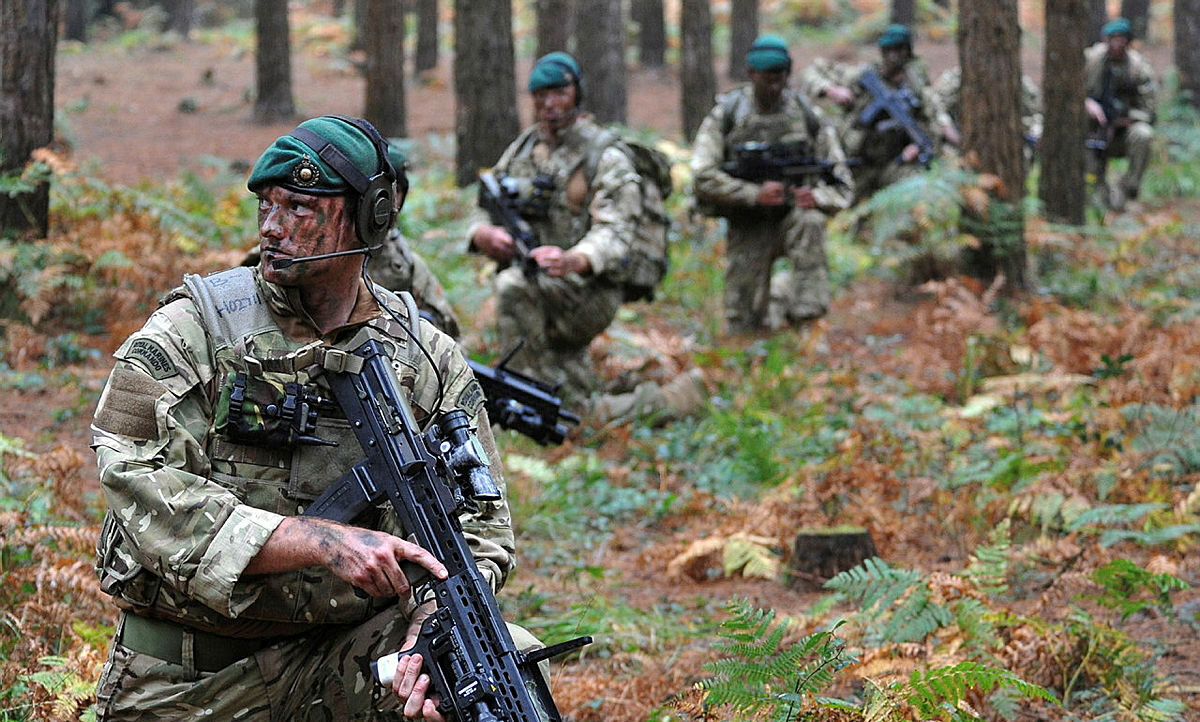 Image illustrative de l'armée britannique