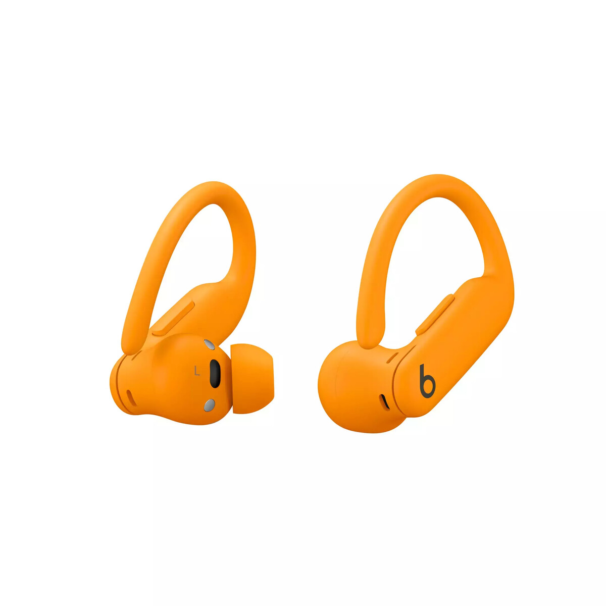 Caractéristiques de Powerbeats Pro 2 Caractéristiques de Powerbeats Pro 2