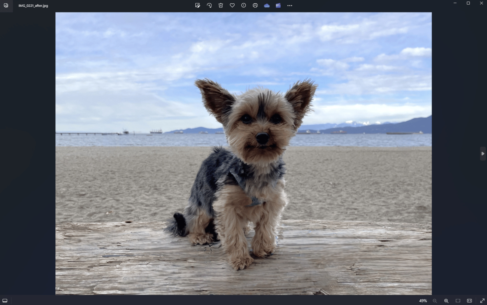 Microsoft ajoute à l'application Windows Photos un outil d'effacement d'objets génératif alimenté par l'IA-2 Microsoft ajoute à l'application Windows Photos un outil d'effacement d'objets génératif alimenté par l'IA-2