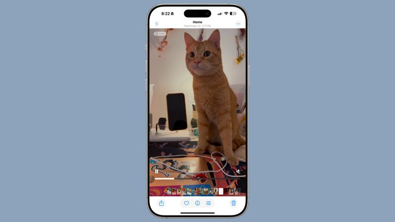 Amélioration du lecteur vidéo dans iOS 18.2 Amélioration du lecteur vidéo dans iOS 18.2