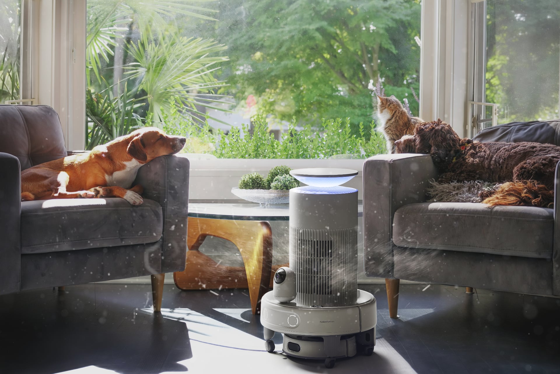 Purification de l'air avec la SwitchBot K20+ Pro. Illustration : SwitchBot