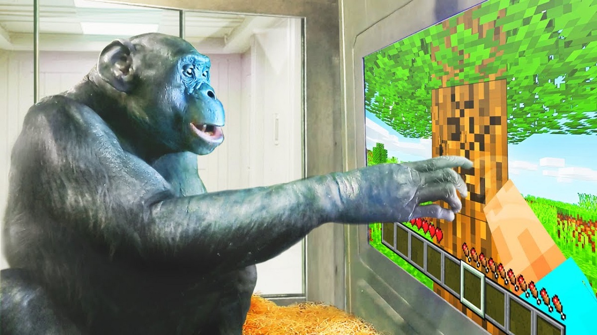 Un singe qui joue à Minecraft - et ce n'est pas une blague ! Une vidéo étonnante du jeu d'un chimpanzé a été publiée. Un singe qui joue à Minecraft - et ce n'est pas une blague ! Une vidéo étonnante du jeu d'un chimpanzé a été publiée.