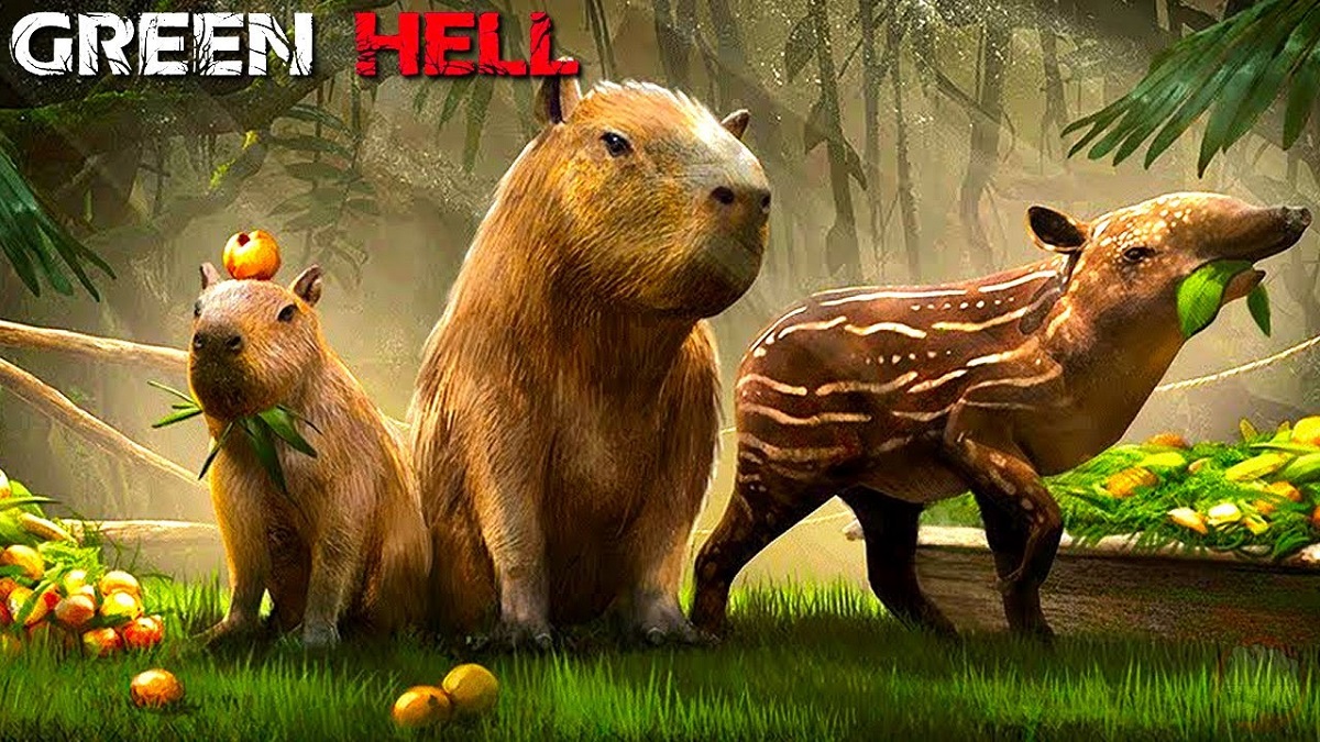 Le support du simulateur de survie Green Hell touche à sa fin : la dernière mise à jour des décorations sera publiée la semaine prochaine. Le support du simulateur de survie Green Hell touche à sa fin : la dernière mise à jour des décorations sera publiée la semaine prochaine.