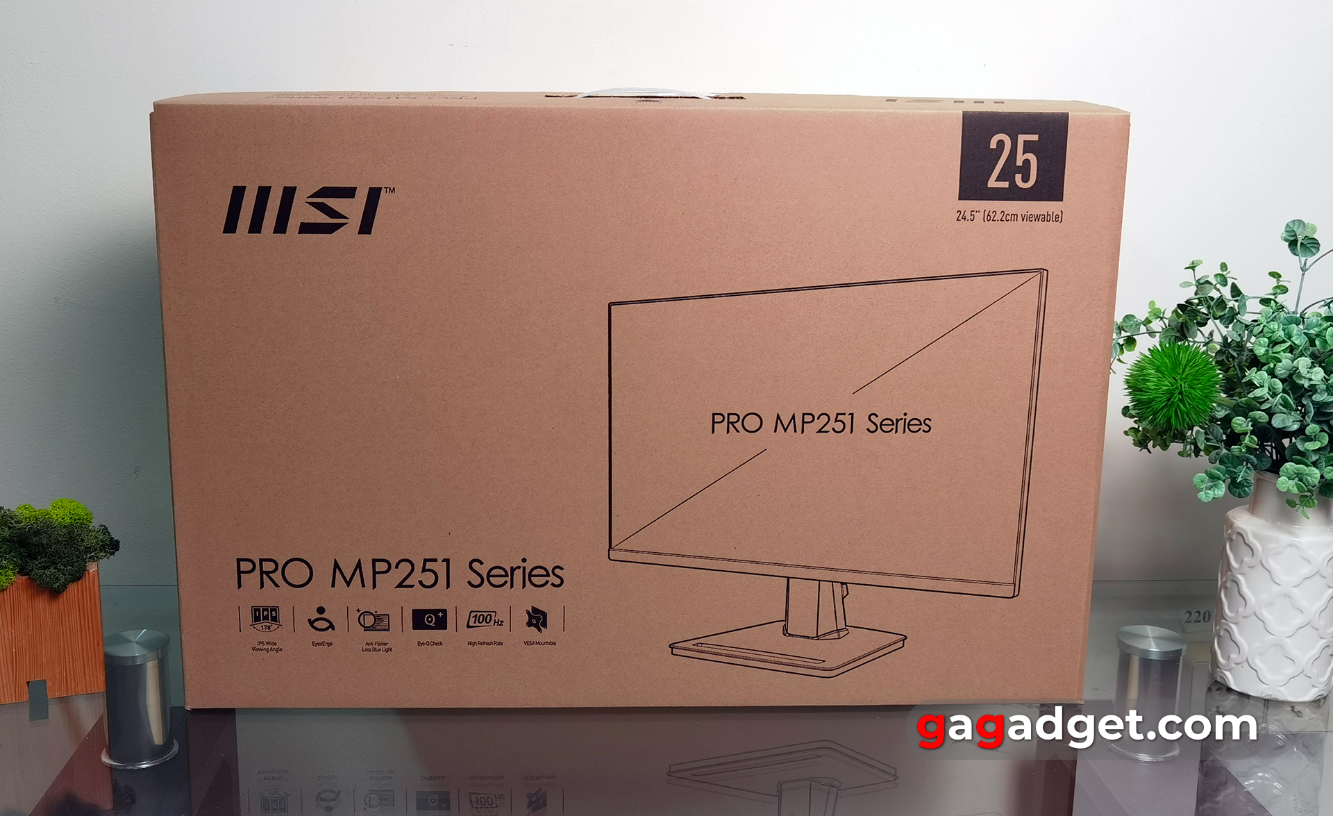 Огляд MSI PRO MP251 Огляд MSI PRO MP251