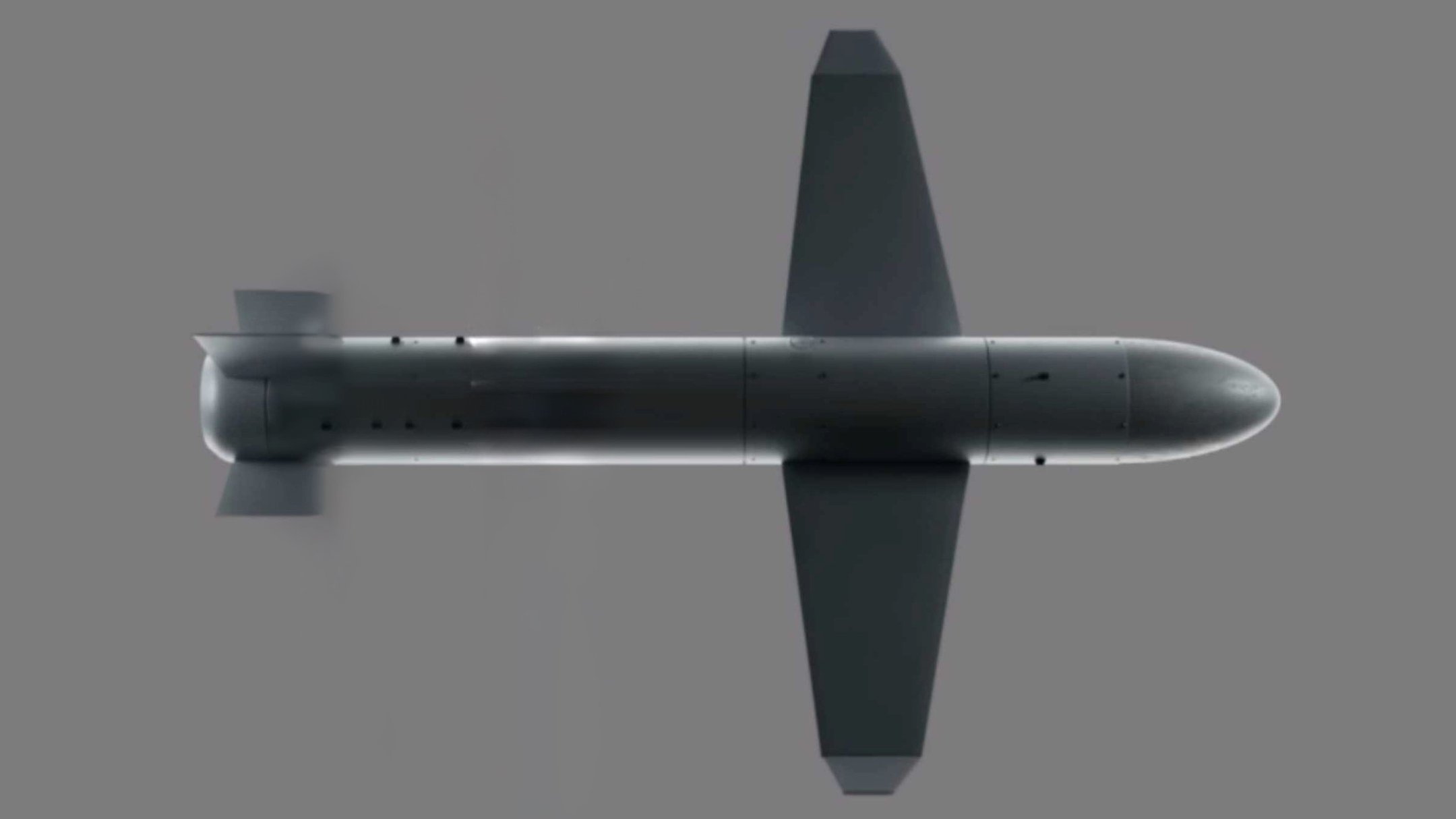 Missile de drone Palyanytsia Missile de drone Palyanytsia