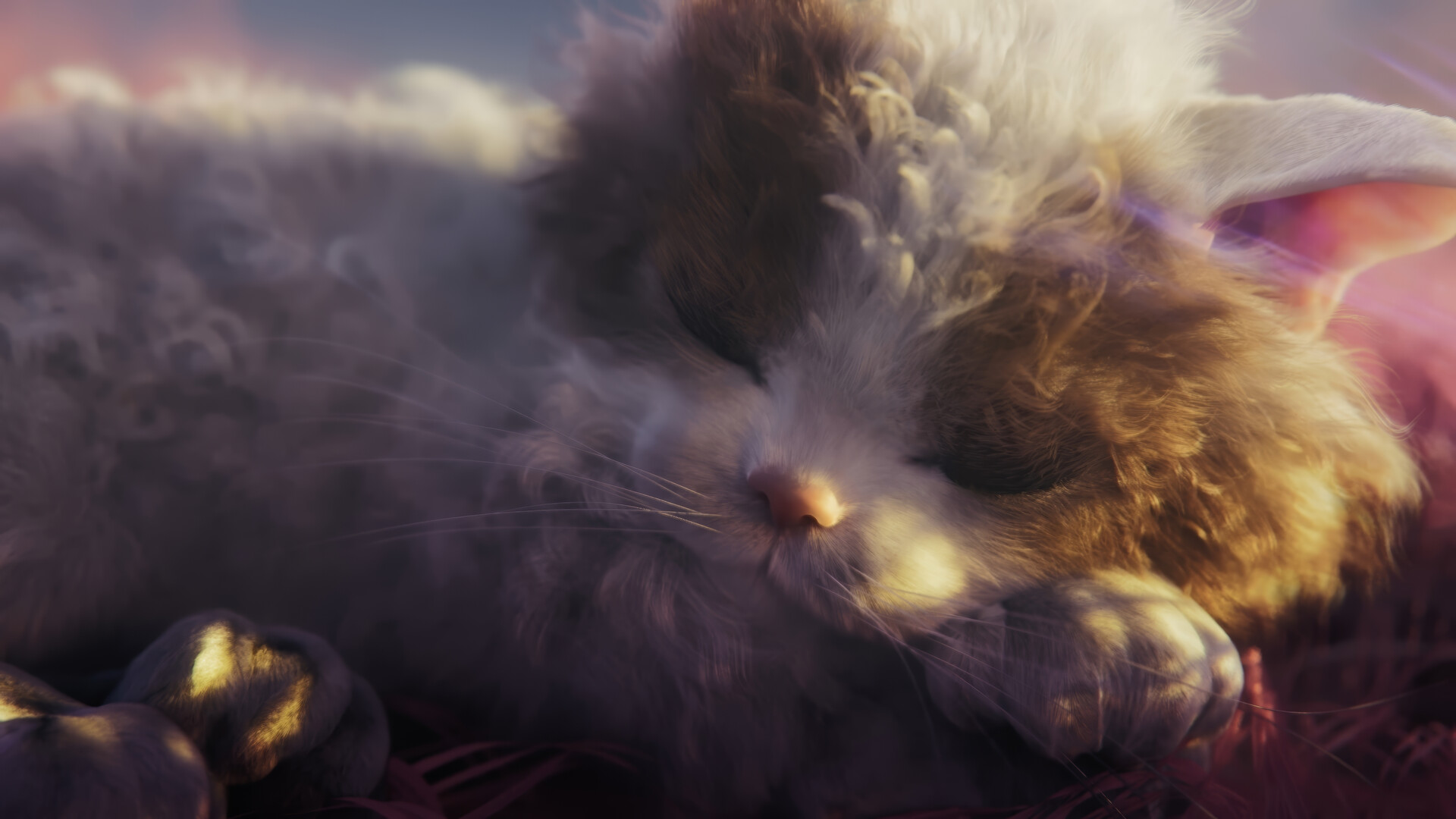Les chats dans le monde psychédélique Les chats dans le monde psychédélique