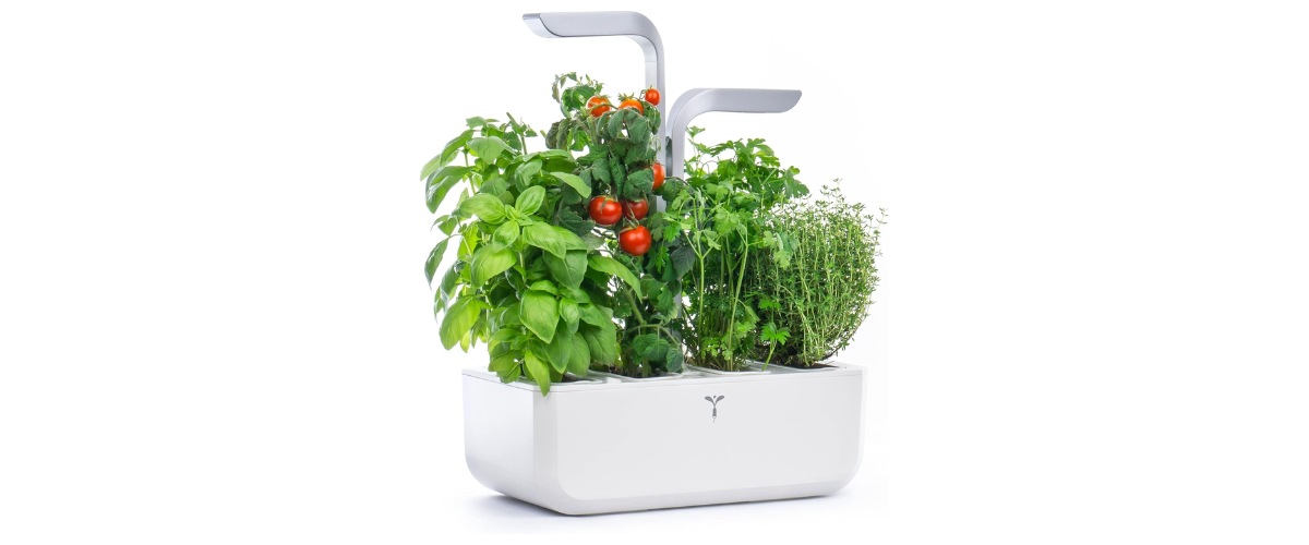 Véritable Smart Indoor Garden Véritable Smart Indoor Garden