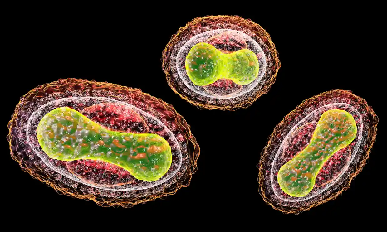 Une étude montre que les chatbots basés sur l'IA pourraient aider à planifier une attaque biologique Une étude montre que les chatbots basés sur l'IA pourraient aider à planifier une attaque biologique